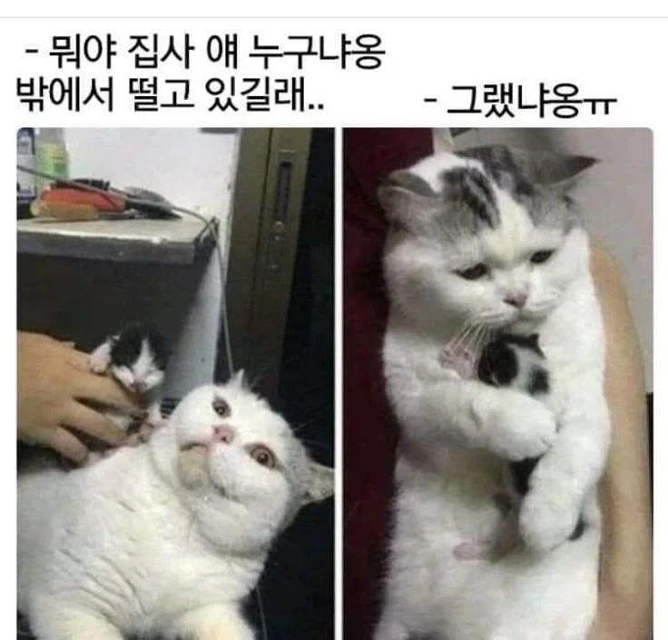 뭐야 얘 누구냐