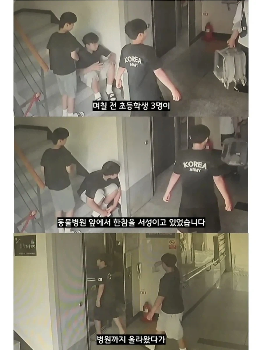 2만원 모아서 동물병원 들린 초등학생들 이야기.