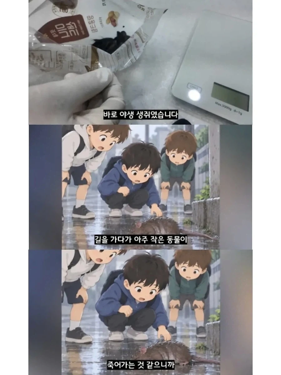 2만원 모아서 동물병원 들린 초등학생들 이야기. - 이미지 9