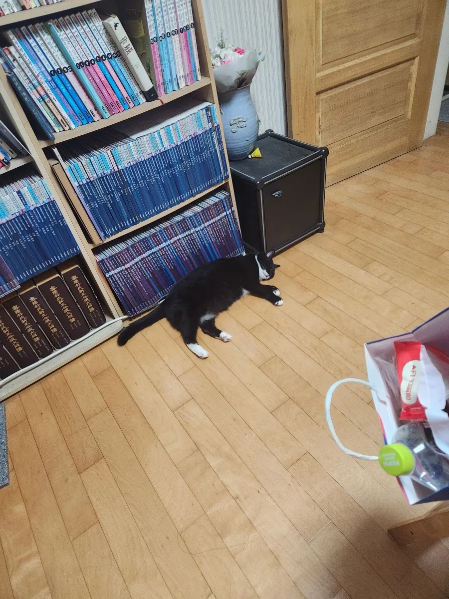 건방진 어린놈이 다시 왔습니다. - 이미지 8