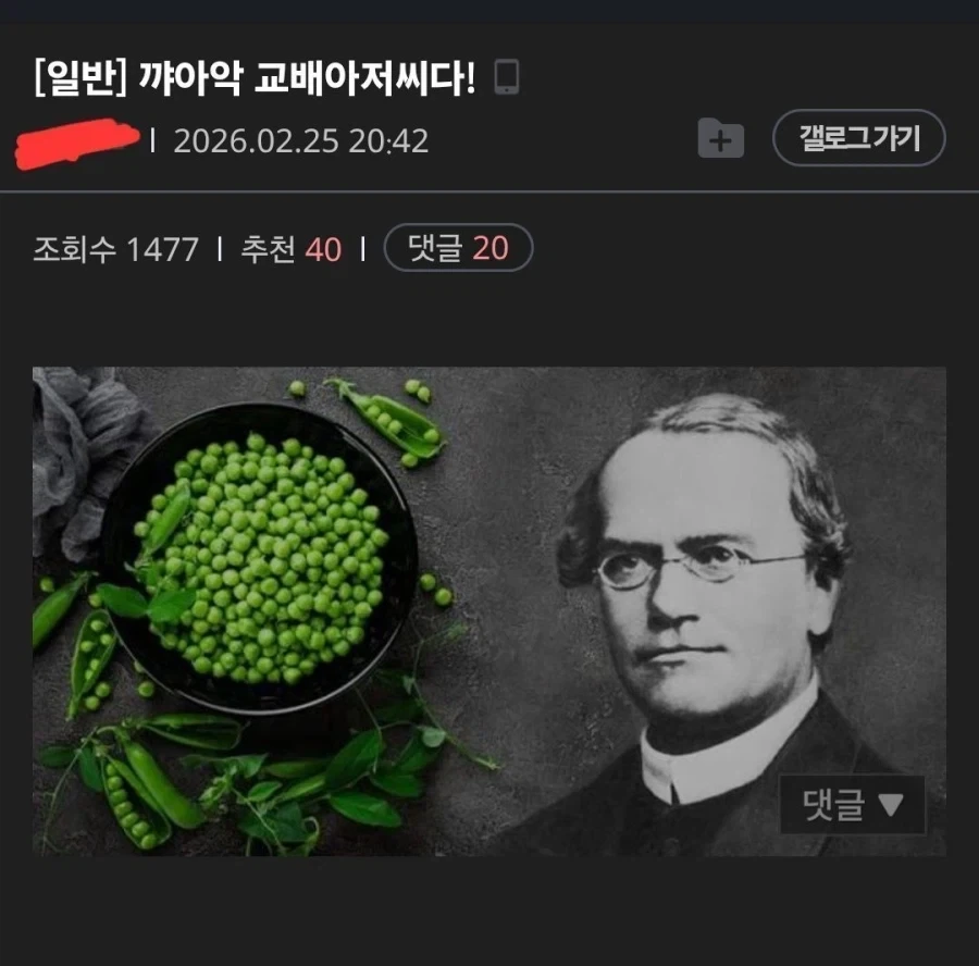 꺄아악! 교배아저씨다!