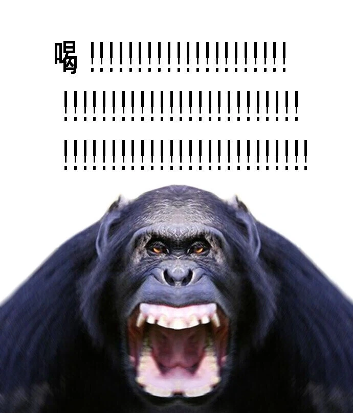 히토미에 싱글맘 검색하고 분노한 이유