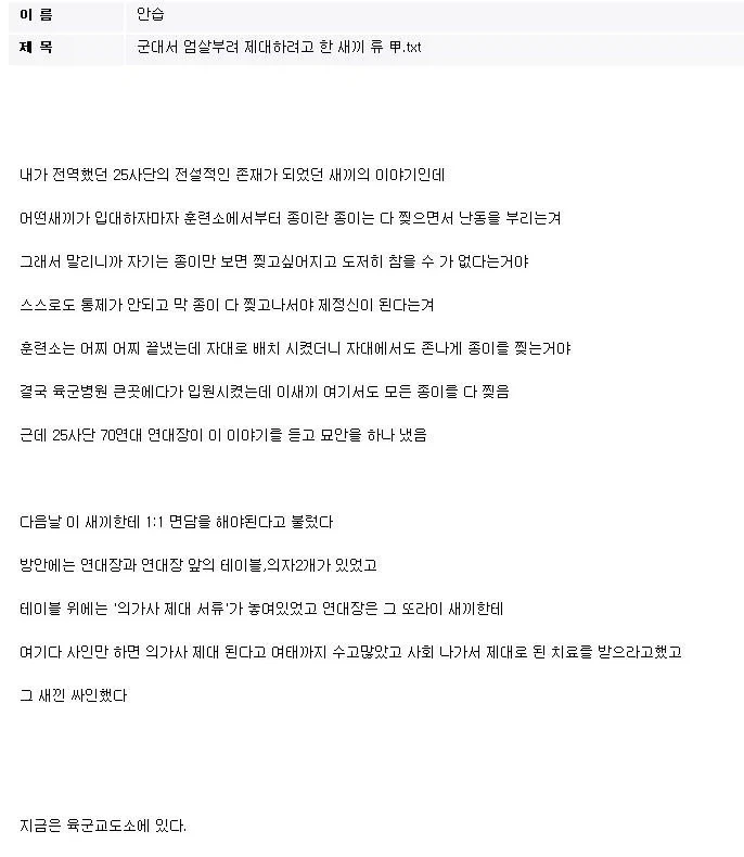 종이만 보면 찢는 군인.jpg