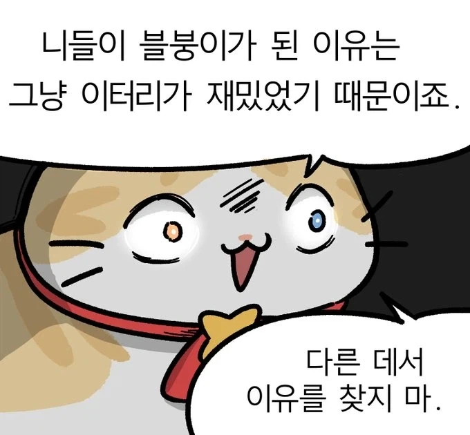 "드디어 본색을 드러낸 고양이 아닌 고양이"