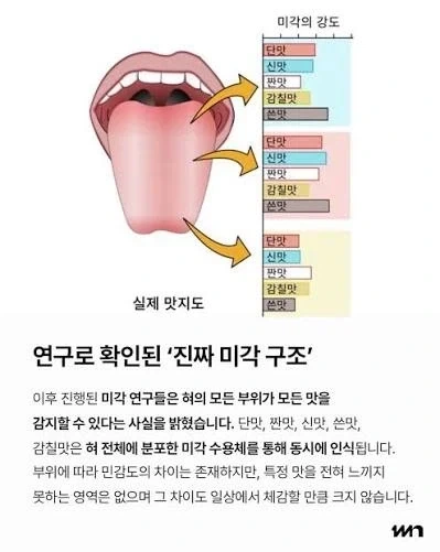 70년동안 믿어온 유사과학 - 이미지 2