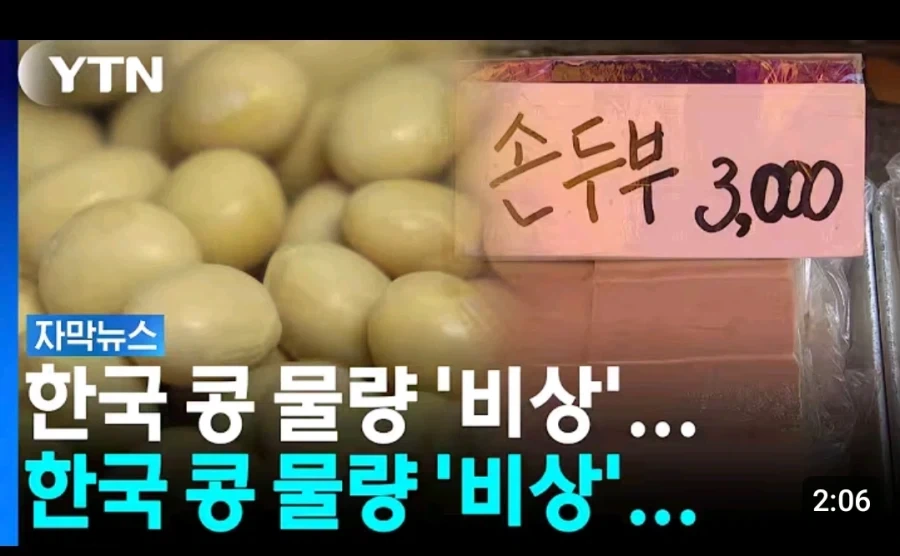 콩 물량 비상.