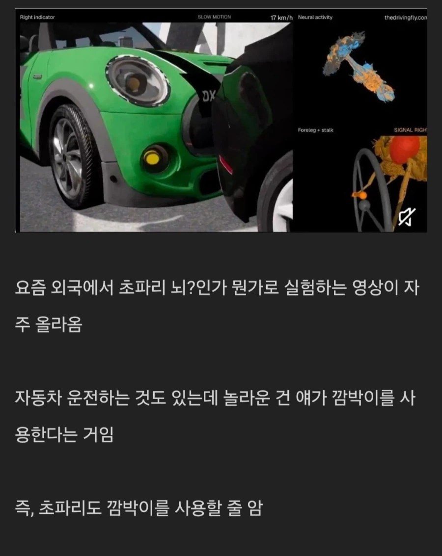 초파리 운전실험