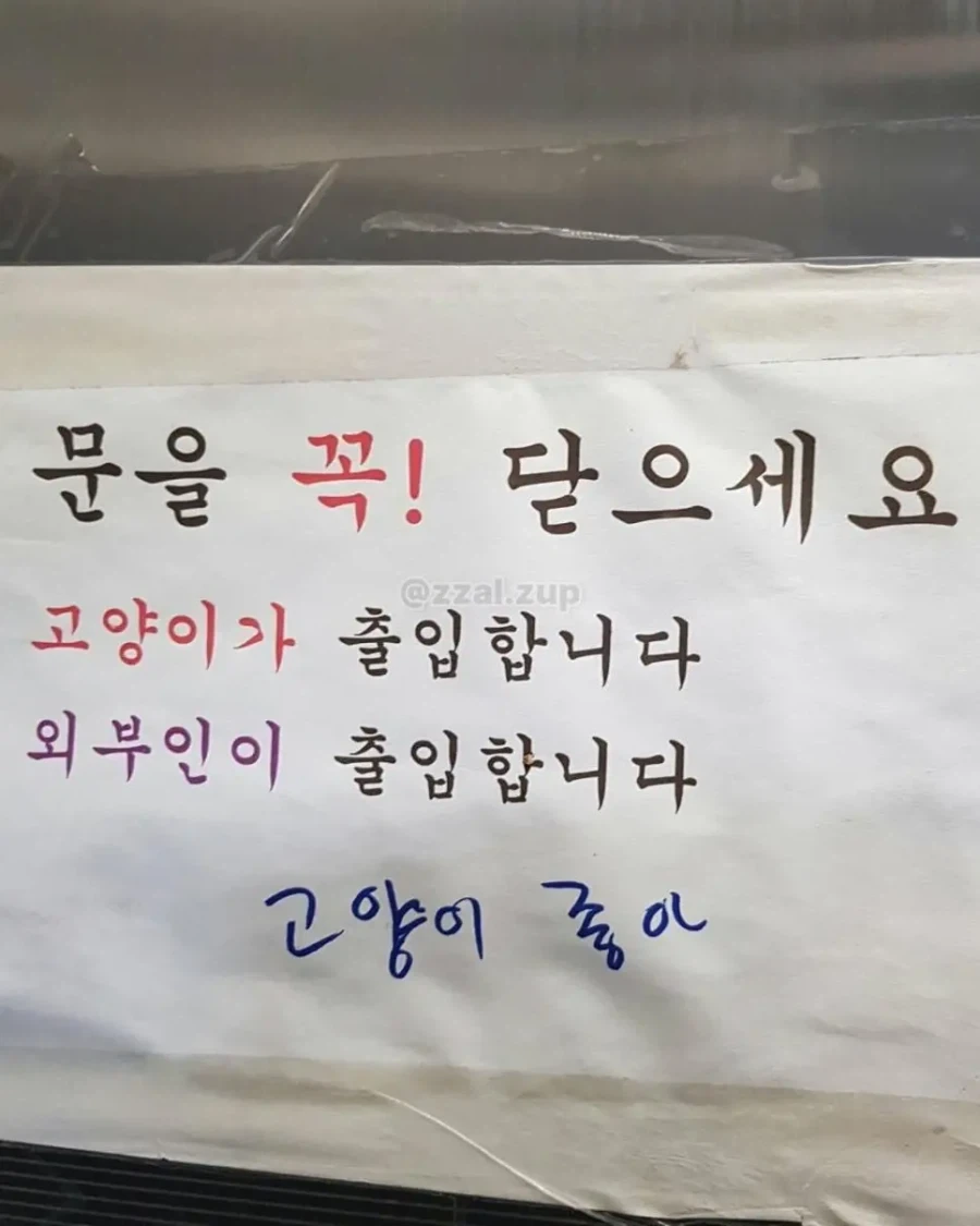 싱글벙글 사람 살아가는 세상 - 이미지 13