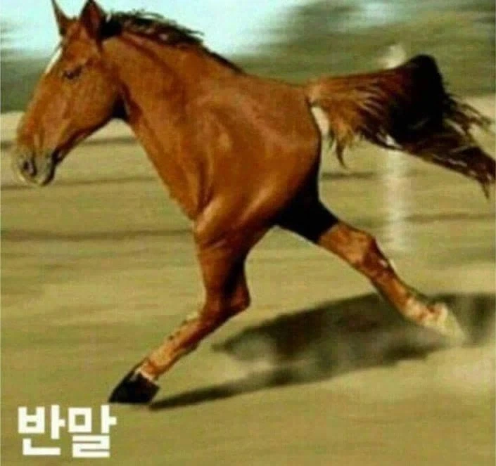 어디서 반말이야~
