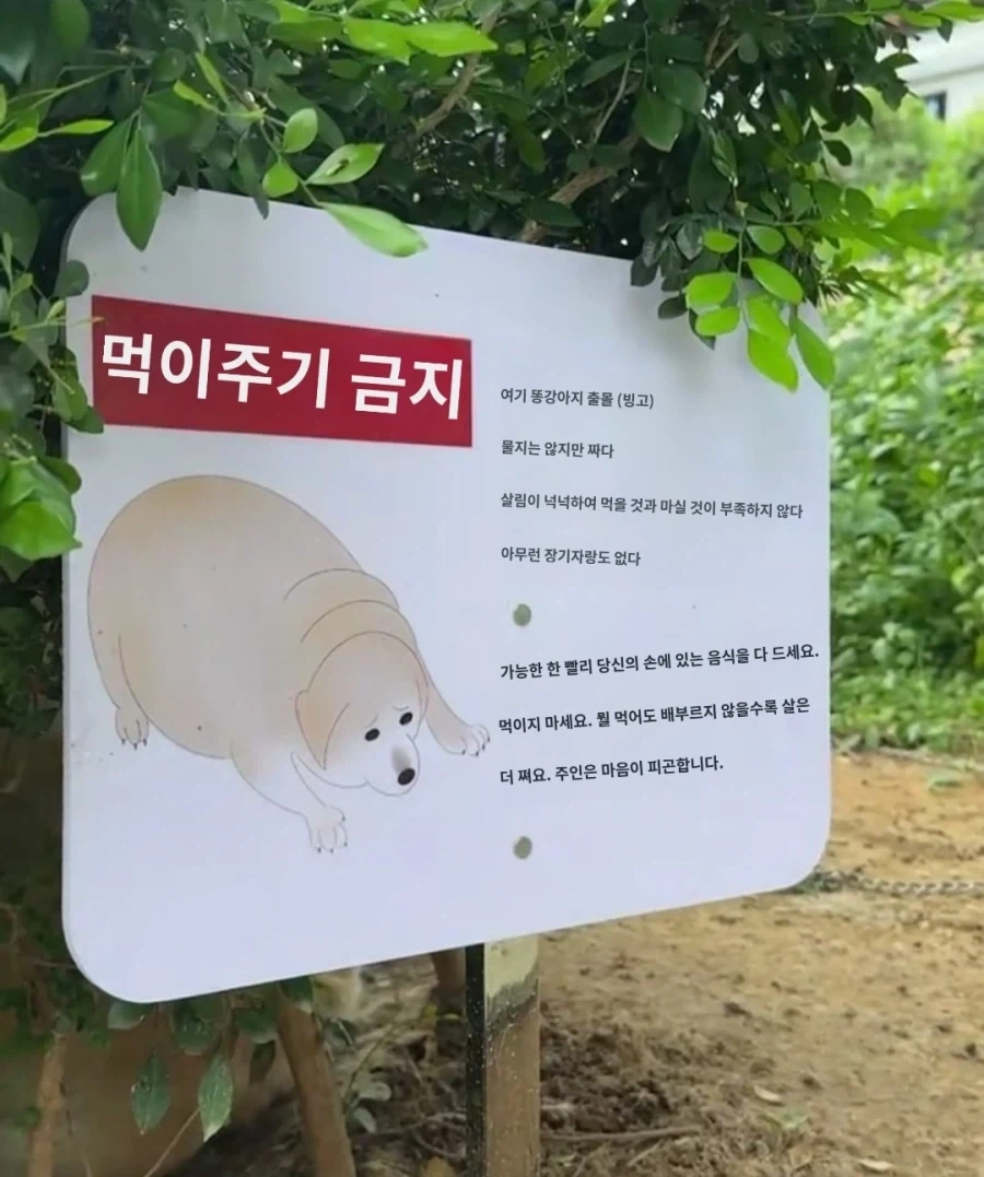 “먹이 금지”인 곳.jpg