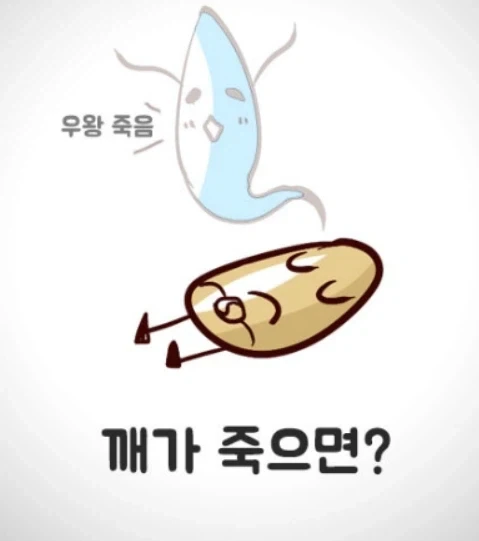 여자한테 써먹기 좋은 유머모음 - 이미지 5