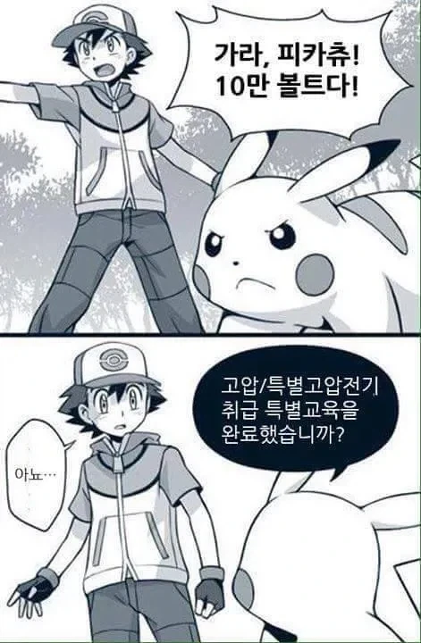 10만볼트를 쓸수 없는 이유