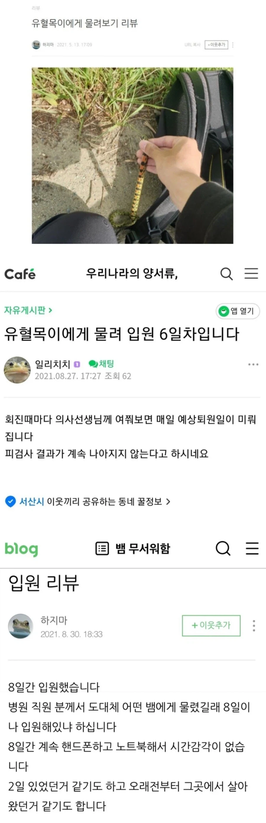 꽃뱀(유혈목이) 이거 되게 위험한놈이었네....