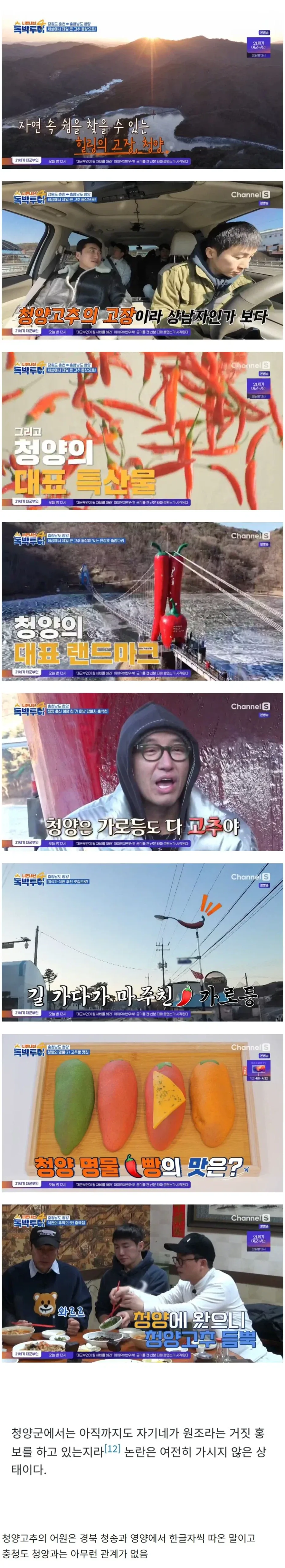 충남 청양의 명물이 청양고추?