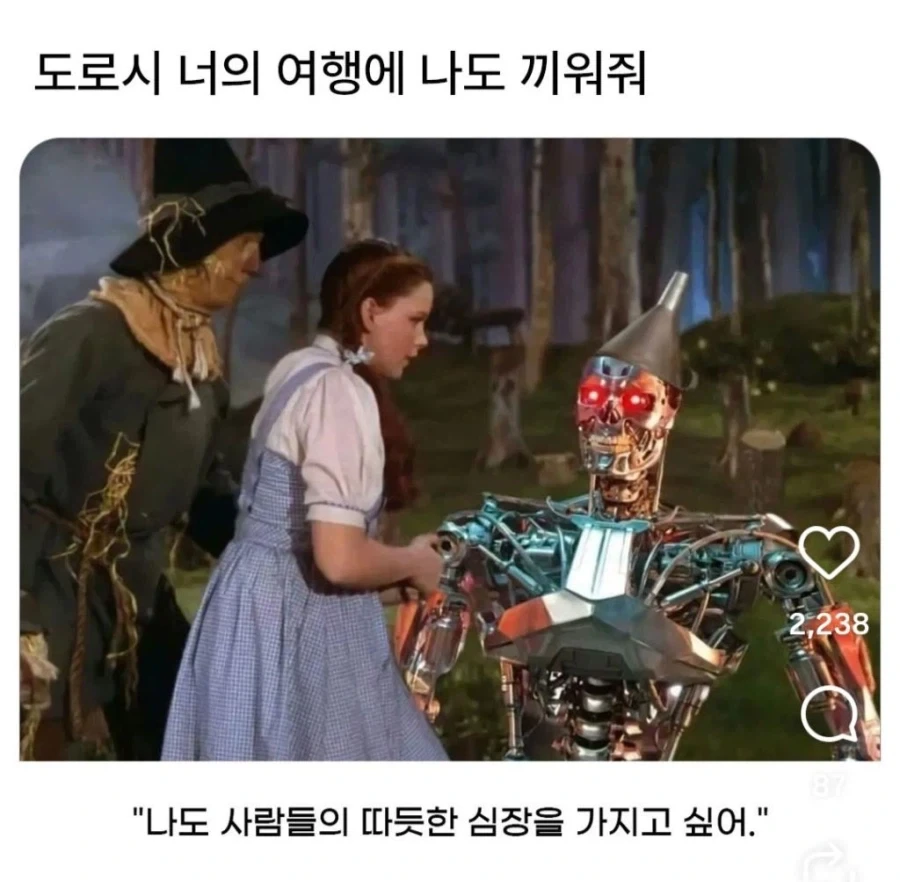 도로시, 너의 여행에 나도 끼워줘!