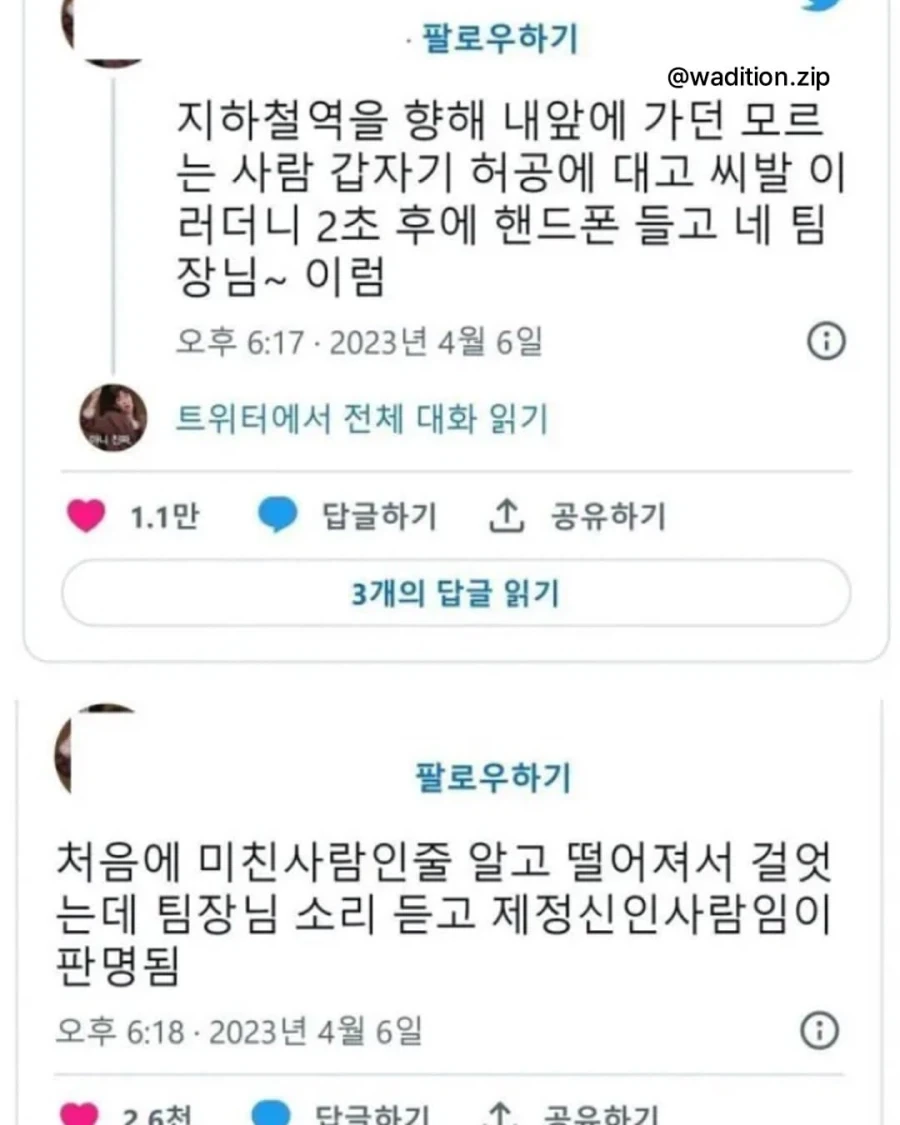 모르는 사람이 갑자기 허공에 대고 욕하길래 미친 사람인줄 알았는데 정상인이었음