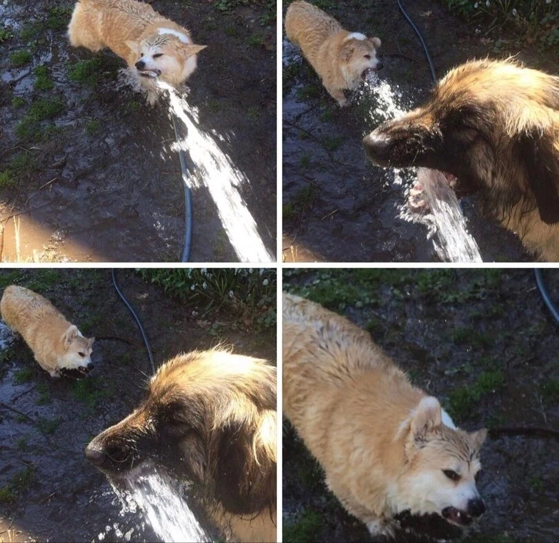 낙수효과 특