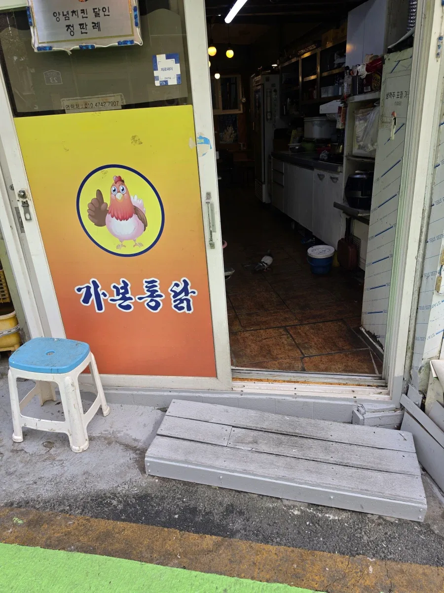 위험한 곳에 들어간 비둘기