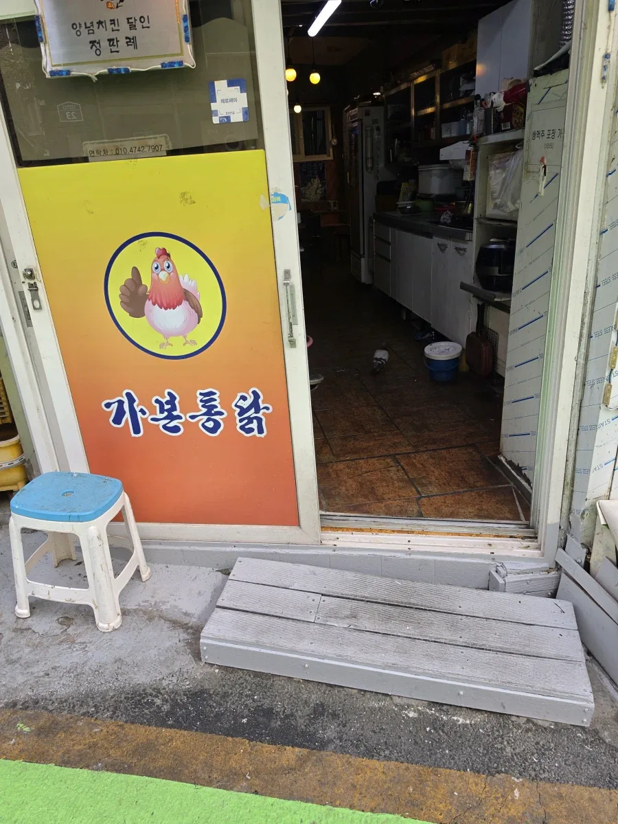 위험한 곳에 들어간 비둘기 - 이미지 2