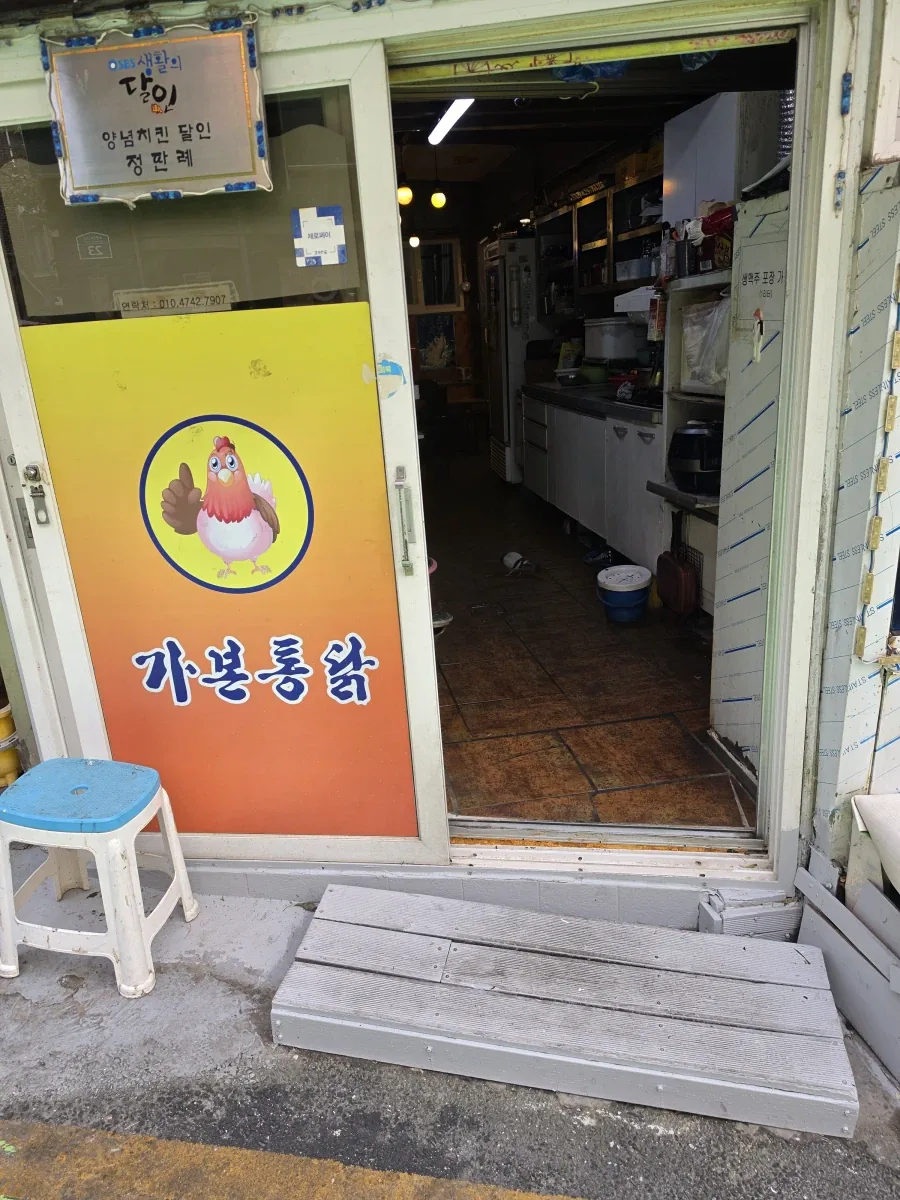 위험한 곳에 들어간 비둘기 - 이미지 4