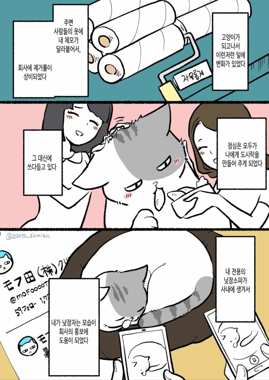 자고 일어나니 고양이가 되버린 만화 - 이미지 3