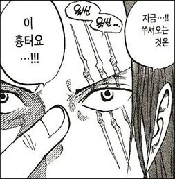 원피스)검은수염 무력 특징