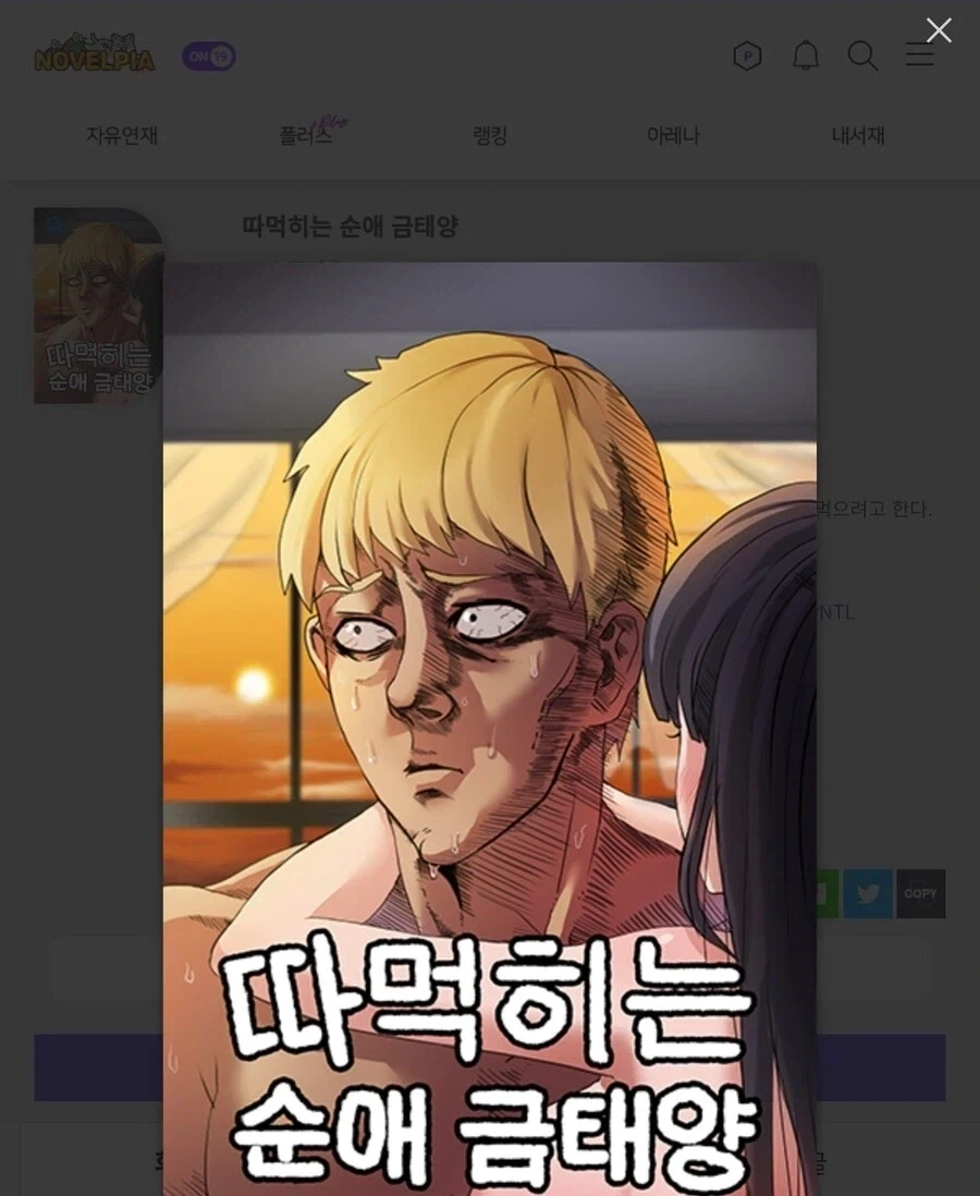 ㄸㅁ히는 순애 금태양