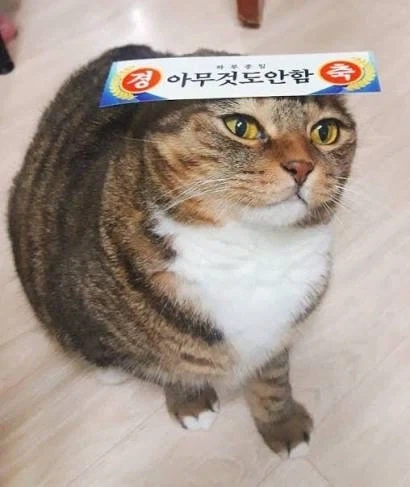 스맛폰은 애플만 쓰는데.jpg