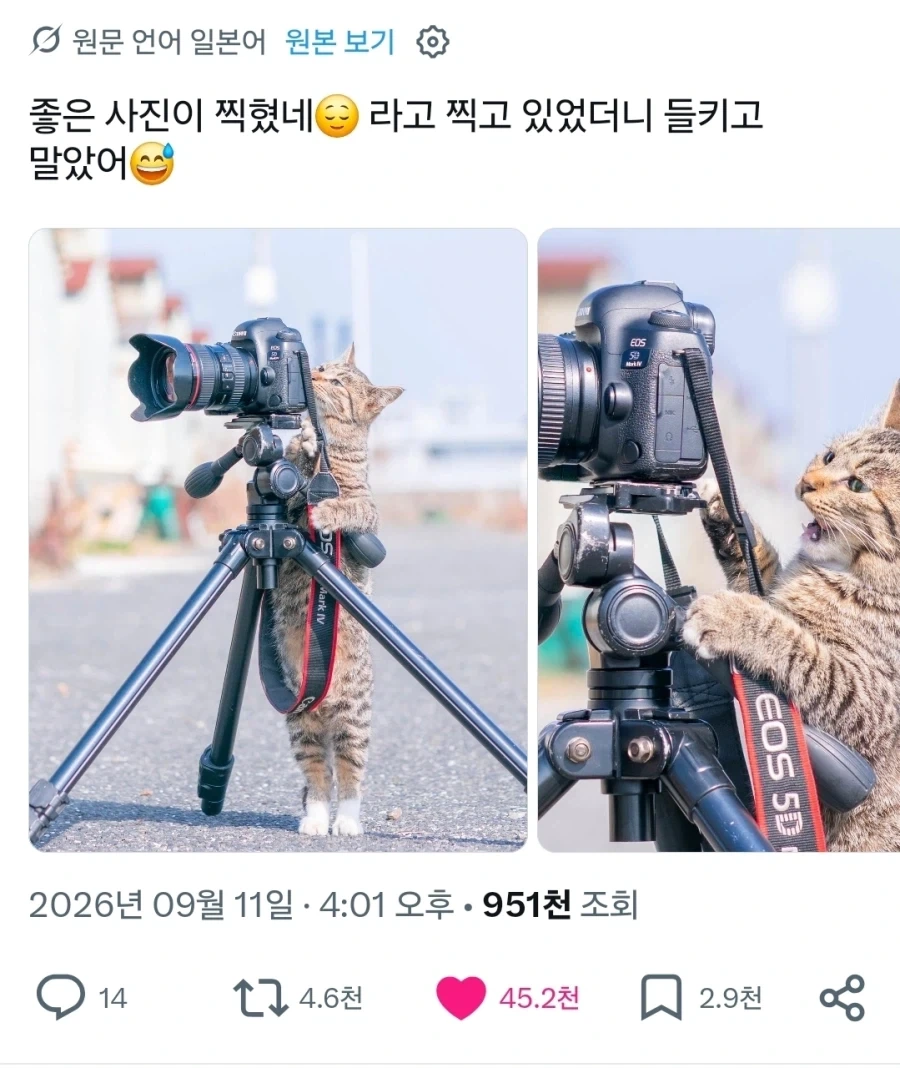 거 작가양반 사진 잘 나왔어?