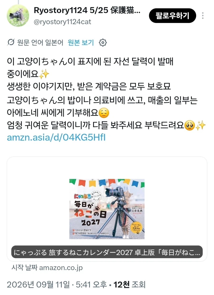 거 작가양반 사진 잘 나왔어? - 이미지 6
