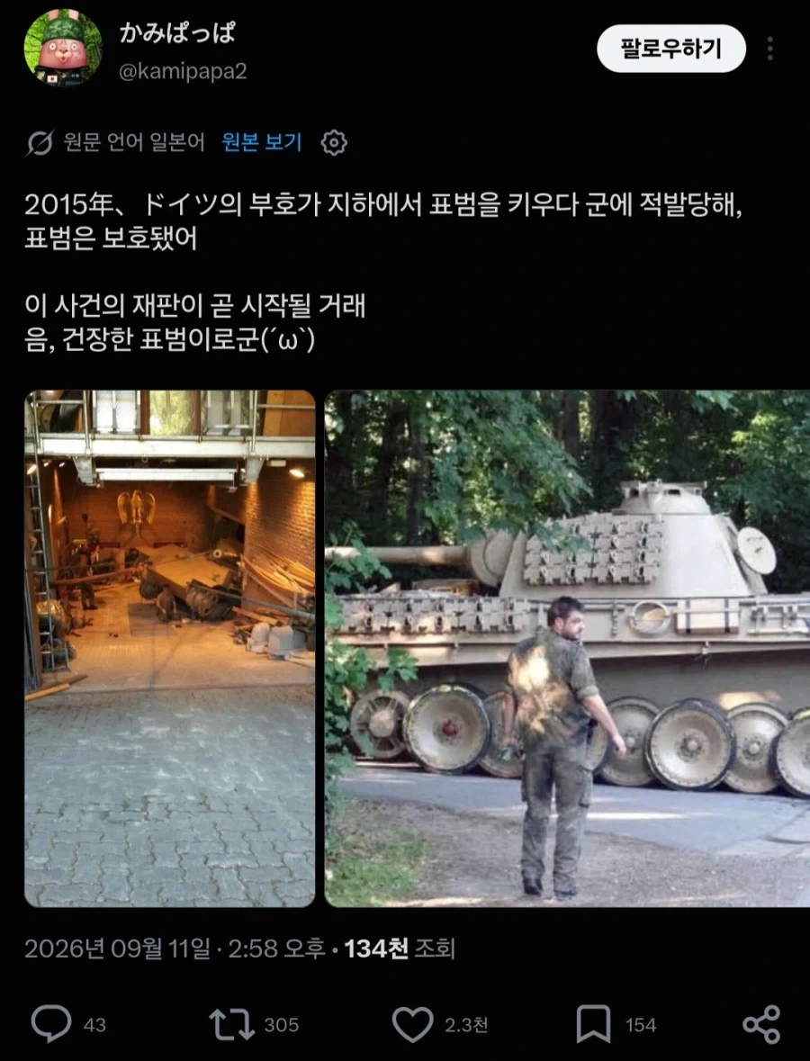 집에서 몰래 표범 키우다 잡힌 독일인 이제 재판하나