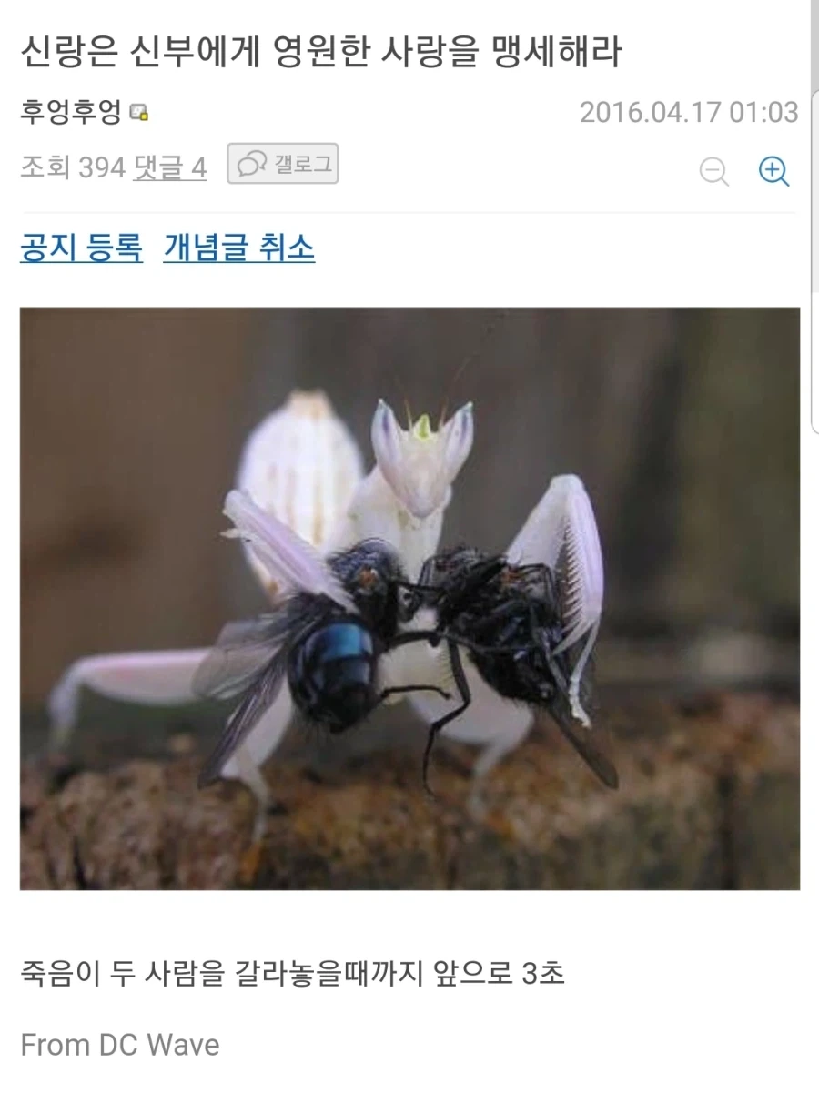 부부는 서로에게 영원한 사랑을 맹세하라