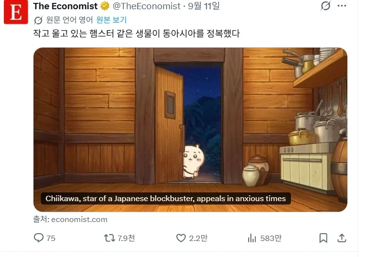 치이카와 이코노미스트 등판.jpg