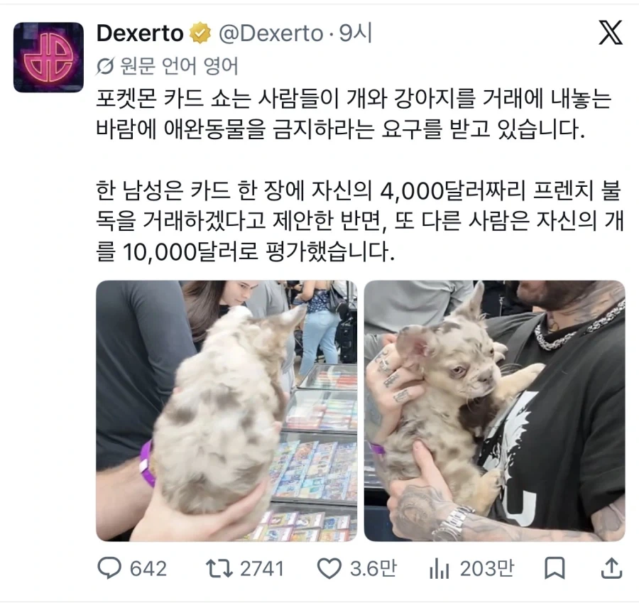 애완동물로 포켓몬 카드를 거래하려는 사람