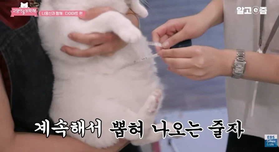 허리둘레 23인치에서 나오는 폭력적인 바디라인