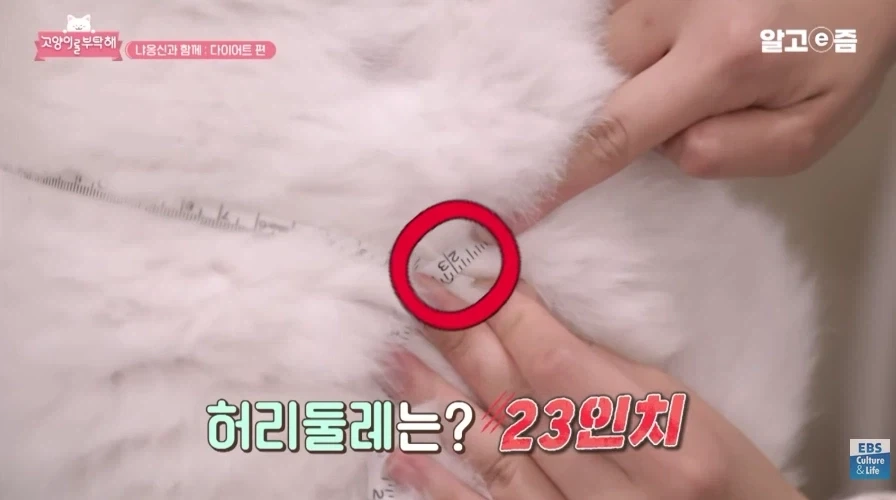 허리둘레 23인치에서 나오는 폭력적인 바디라인 - 이미지 2