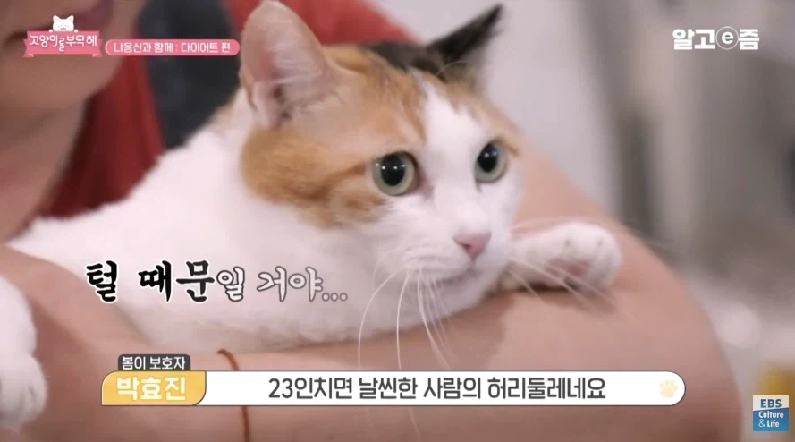 허리둘레 23인치에서 나오는 폭력적인 바디라인 - 이미지 4