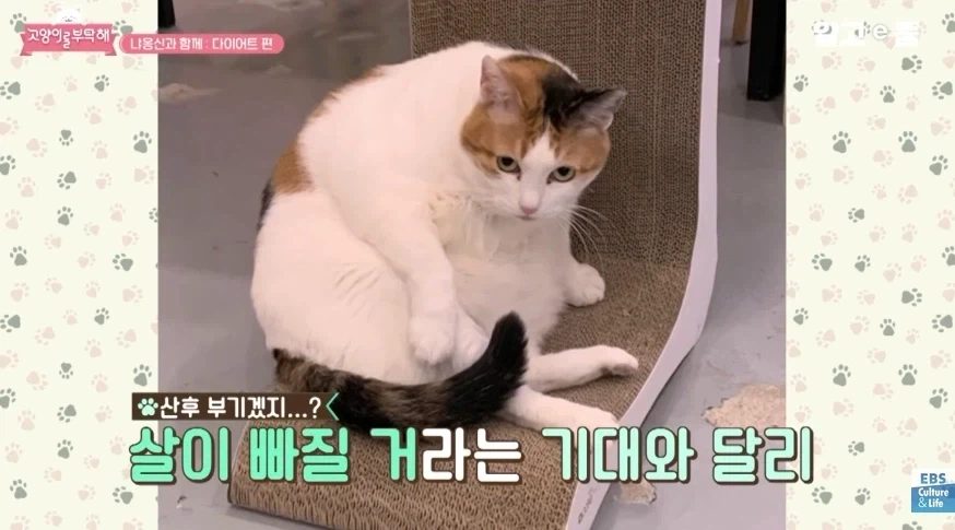 허리둘레 23인치에서 나오는 폭력적인 바디라인 - 이미지 5