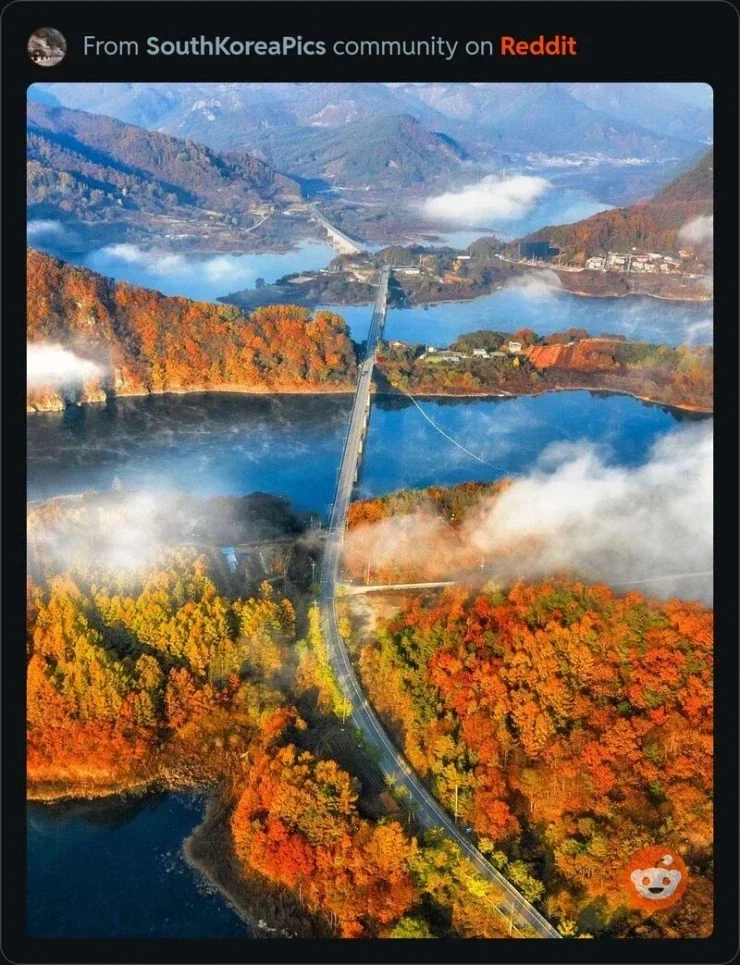 아시아의 아름다운 나라