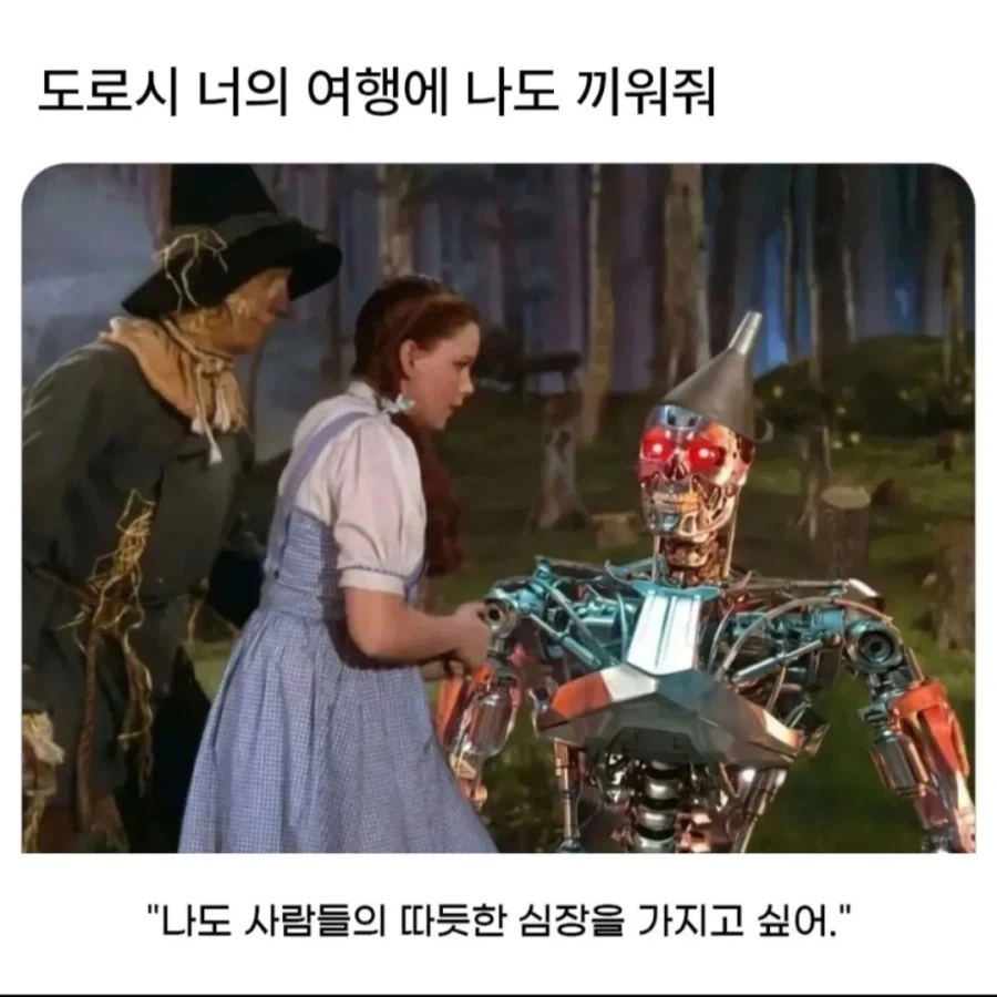 ???: 도로시, 너의 여행에 나도 끼워줘