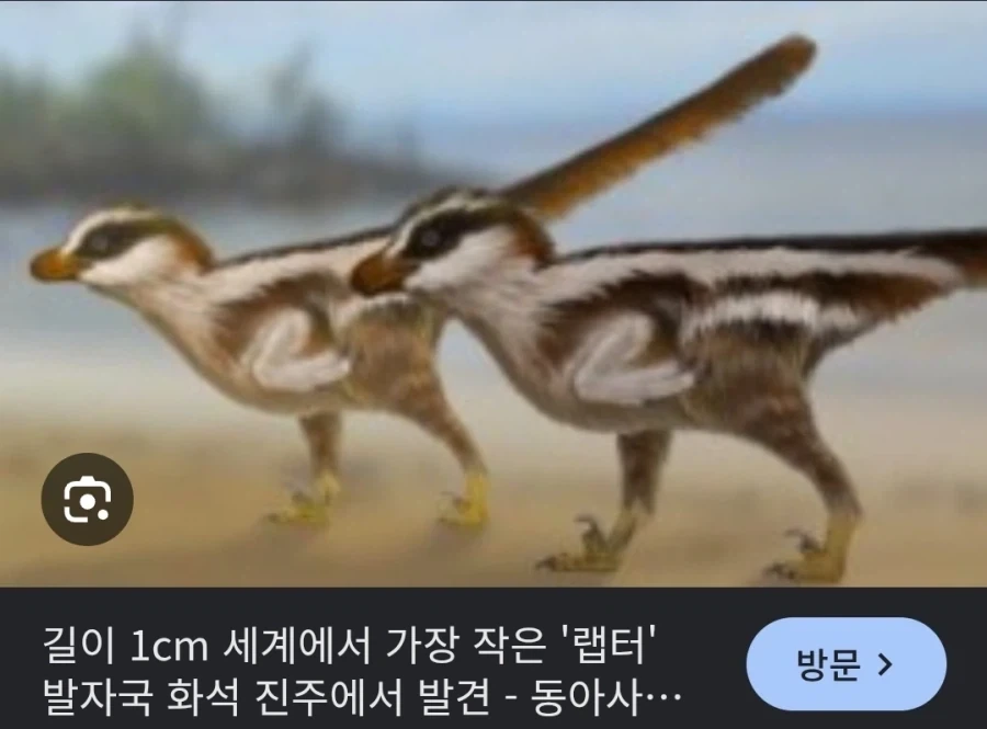 벨로시랩터 최신 복원도.jpg - 이미지 5