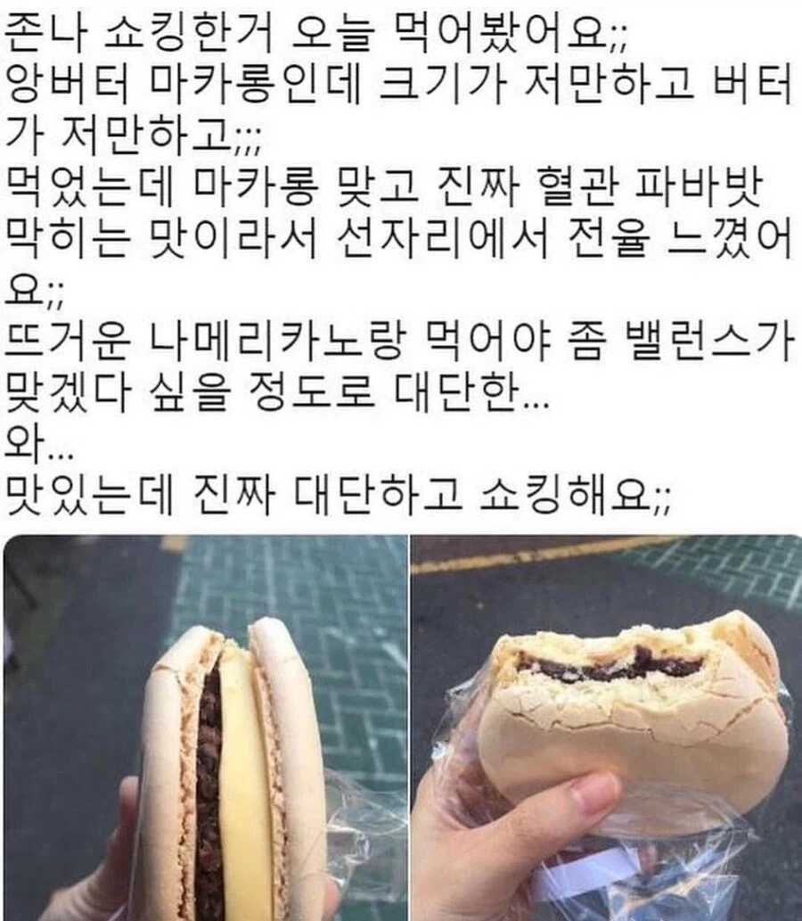 버거의 마카롱화에 대항하는 가장 유효한 수단은 - 이미지 2