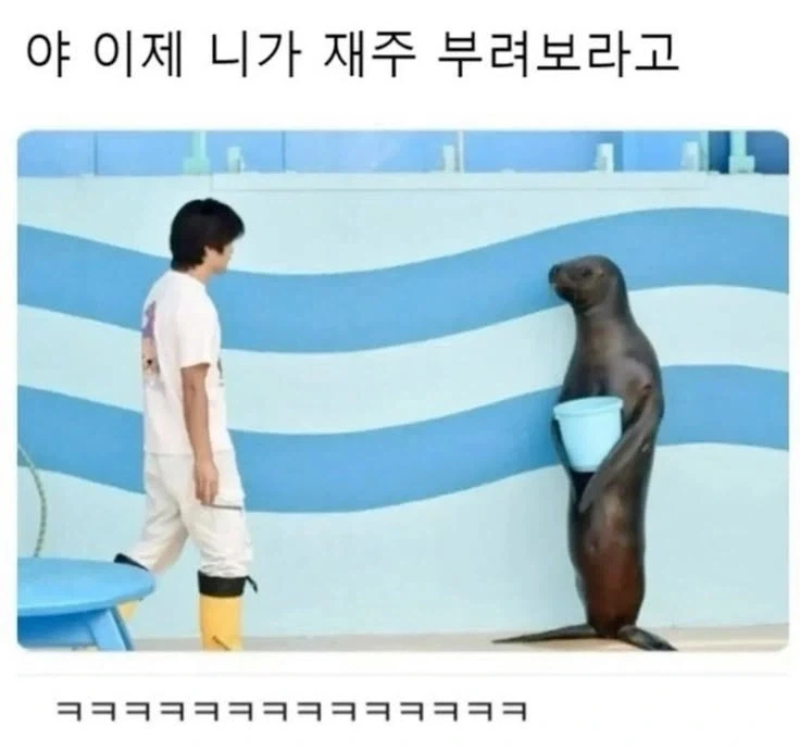 야 이제 니가 재주 부려보라고