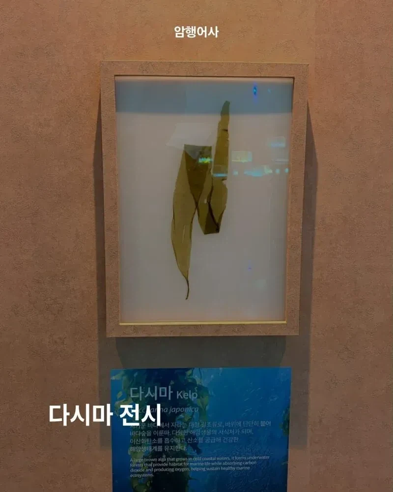 700억 짜리 여수 섬박람회는 어떤 볼거리가 있나 - 이미지 6