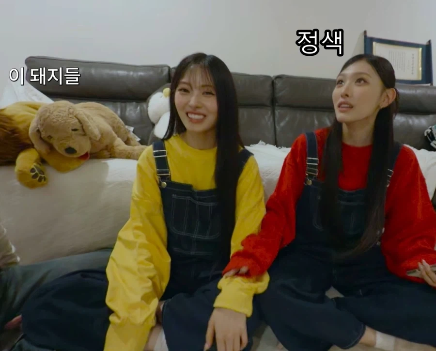 ??? : 그래 나 돼지가 맞다 왜??? - 이미지 9