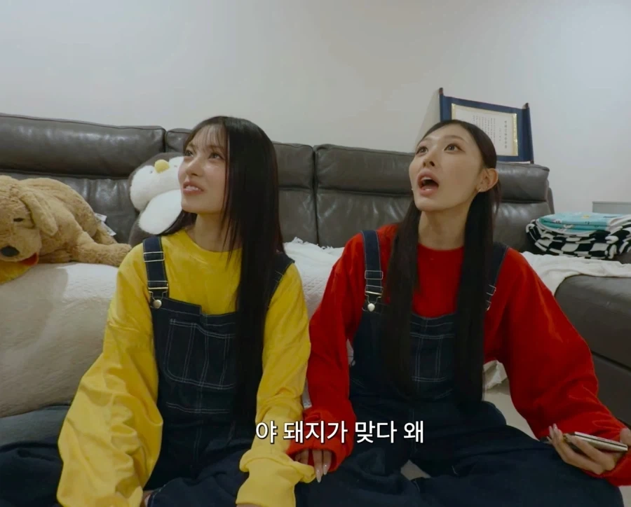 ??? : 그래 나 돼지가 맞다 왜??? - 이미지 10