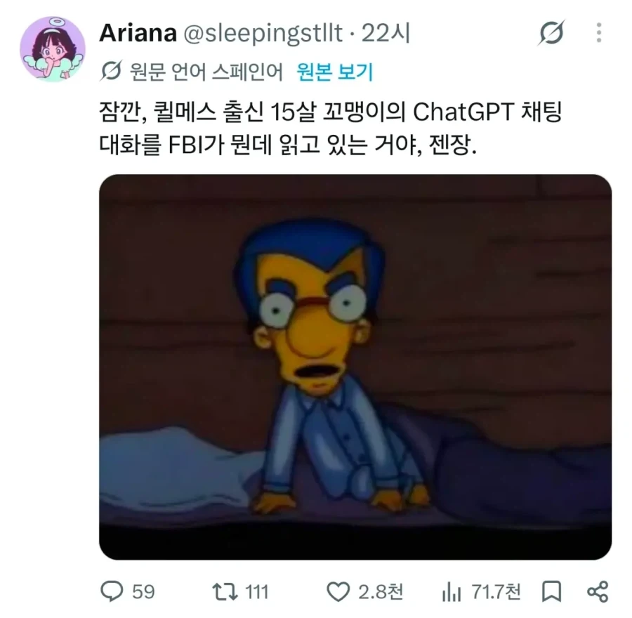 ChatGPT로 총기테러 기획하던 10대 소년 검거.jpg - 이미지 2