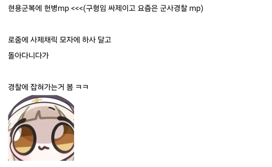 *현역 국군 코스프레는 범죄입니다 - 이미지 3