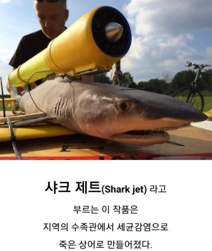 샤크 미사일