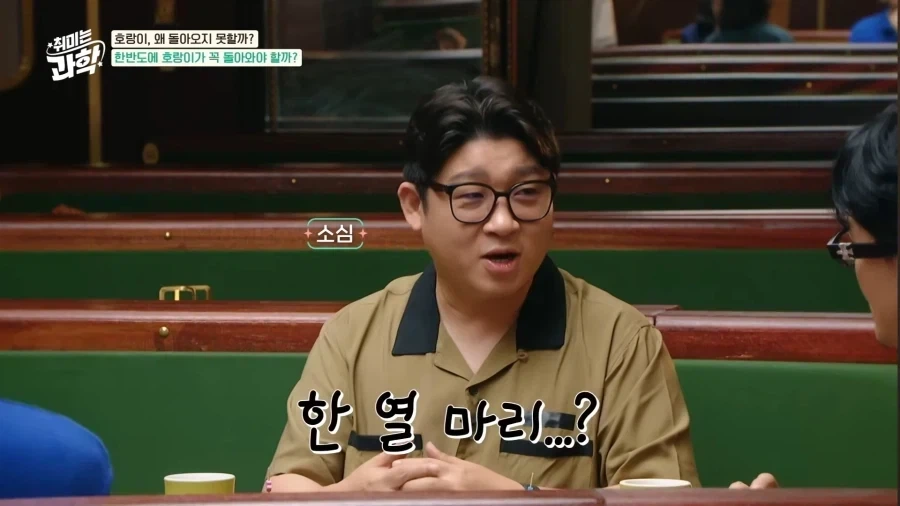 한국에 호랑이가 다시 돌아왔으면 좋겠다.jpg - 이미지 4